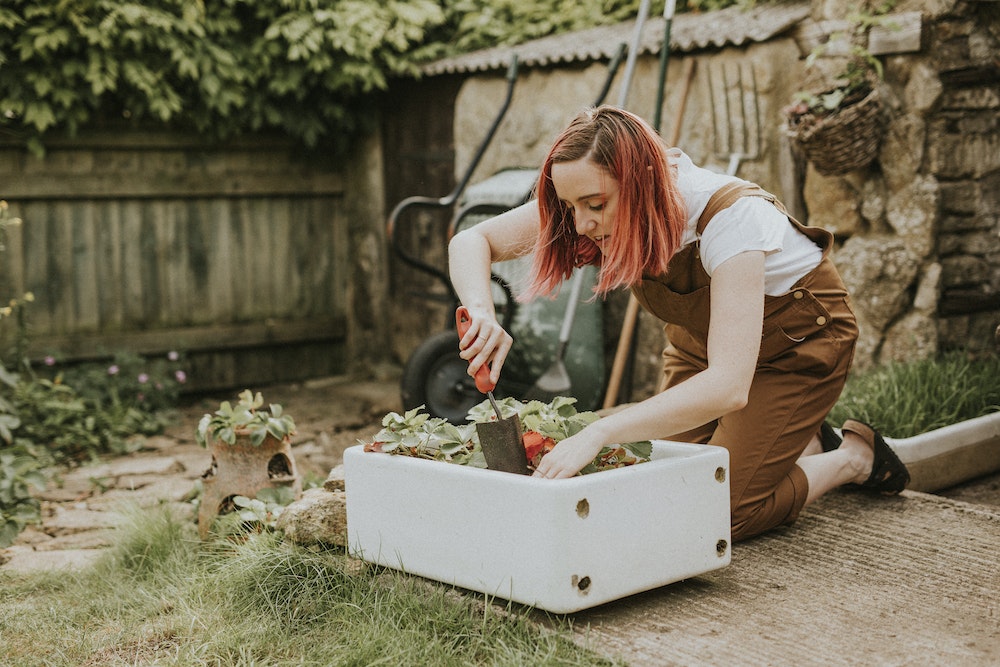 Les coûts d'entretien d'un jardin : comment les estimer lors de l'achat d'une maison